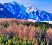 雪落乌苏待甫僧 早春美景入画来