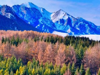 雪落乌苏待甫僧 早春美景入画来