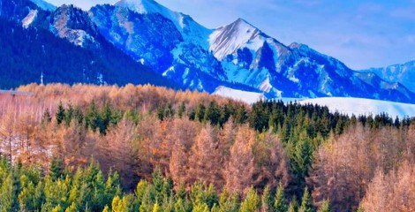 雪落乌苏待甫僧 早春美景入画来