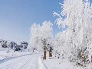 乌苏市：雪后胡杨，美醉了心，看醉了眼