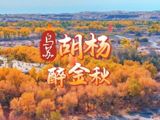 乌苏-胡杨醉金秋